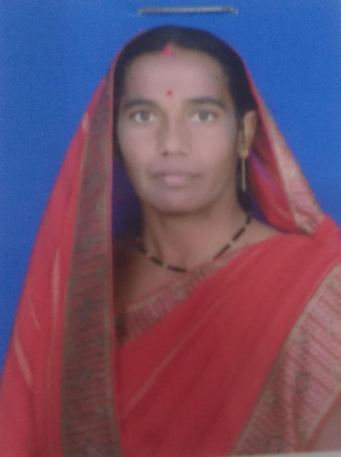 सदस्य