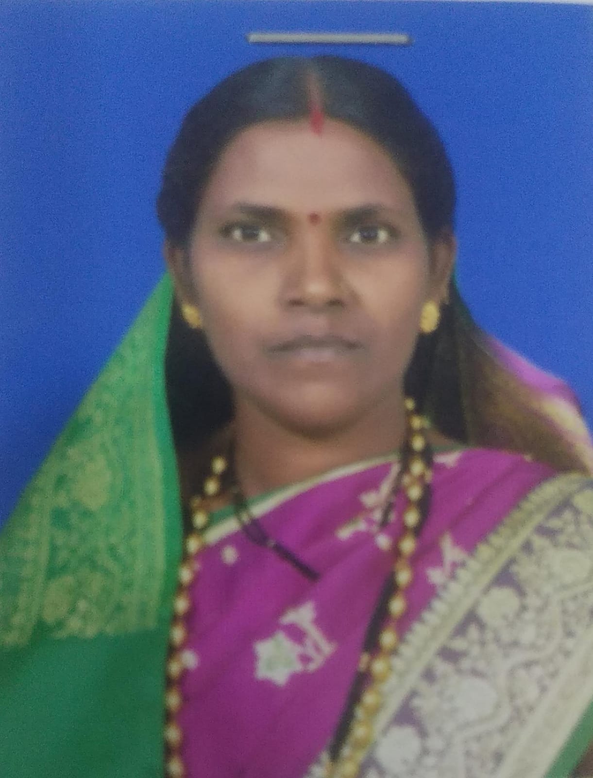 सदस्य
